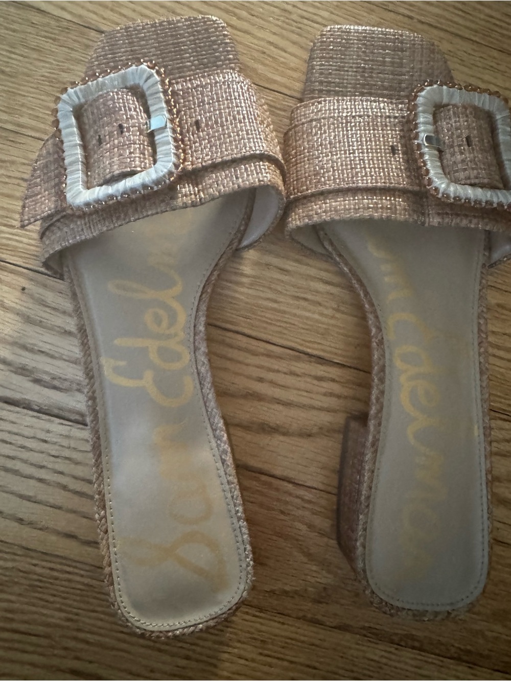 Sam Edelman Buckle Slide Sandals